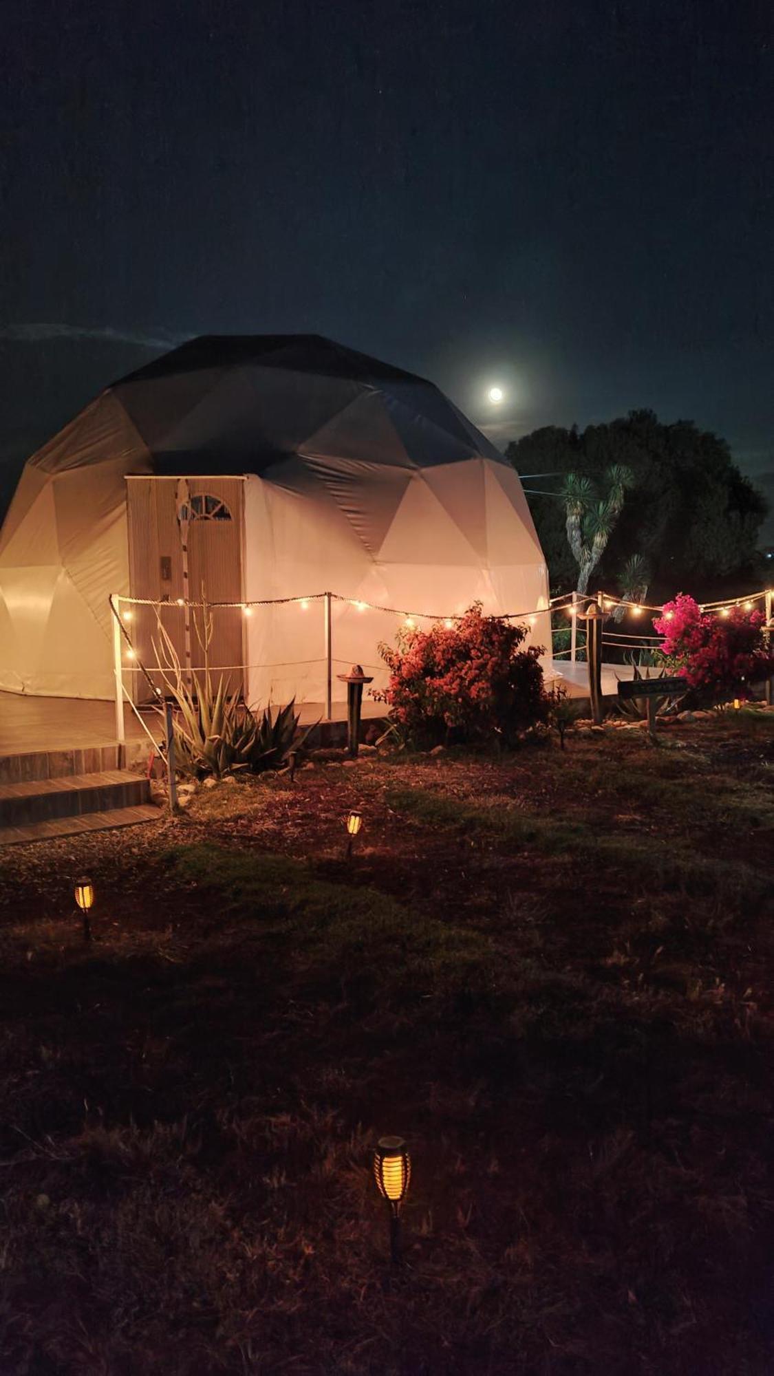 Hotel El Gato Glamping Con Vista A Prismas Basalticos à Huasca de Ocampo Extérieur photo