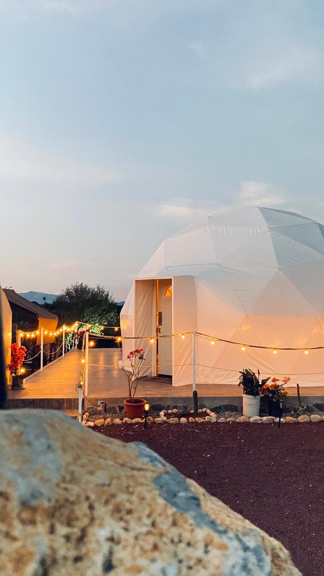 Hotel El Gato Glamping Con Vista A Prismas Basalticos à Huasca de Ocampo Extérieur photo