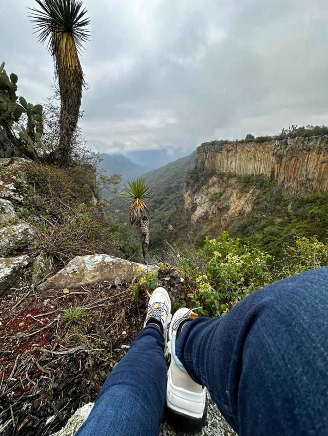 Hotel El Gato Glamping Con Vista A Prismas Basalticos à Huasca de Ocampo Extérieur photo