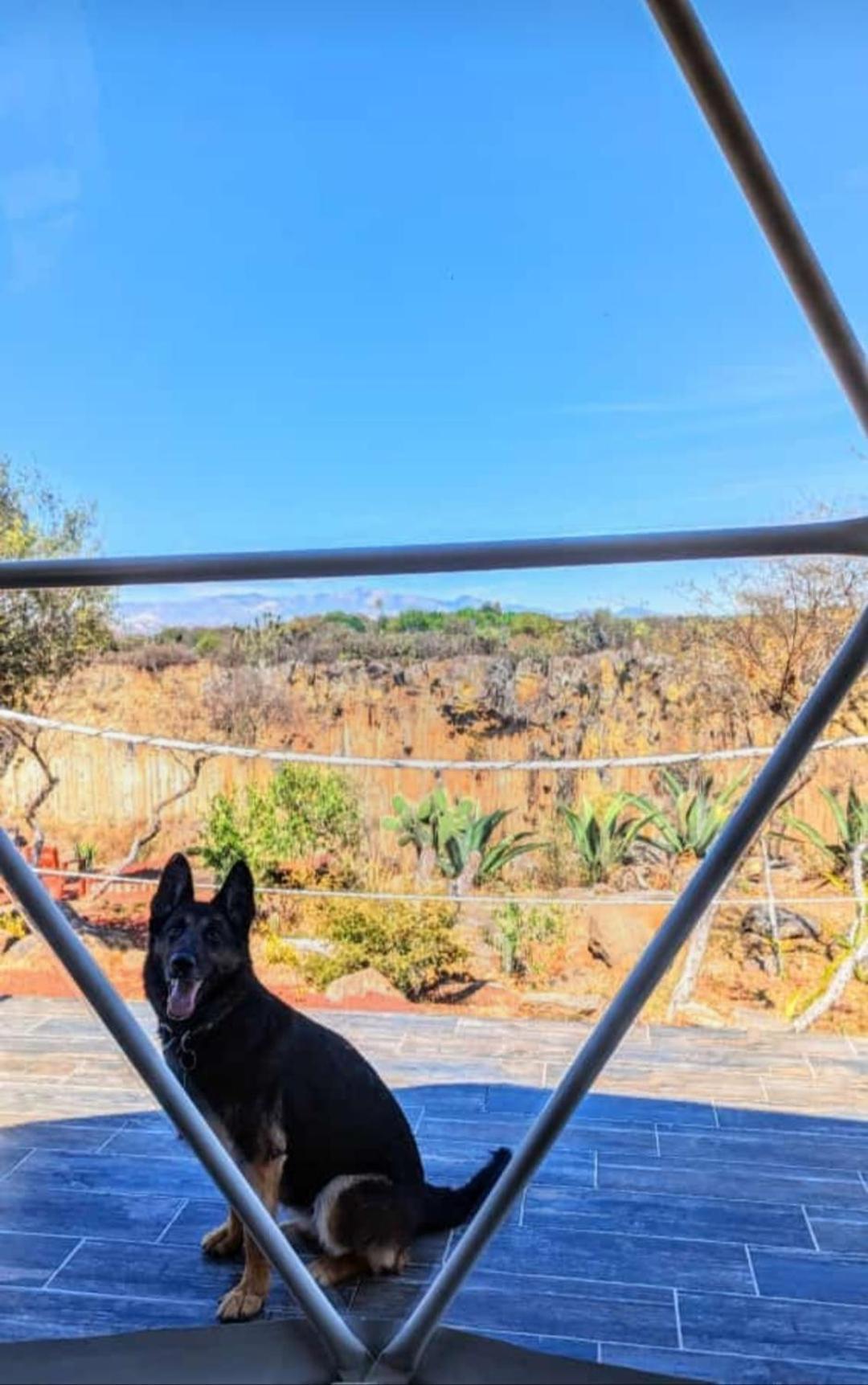 Hotel El Gato Glamping Con Vista A Prismas Basalticos à Huasca de Ocampo Extérieur photo