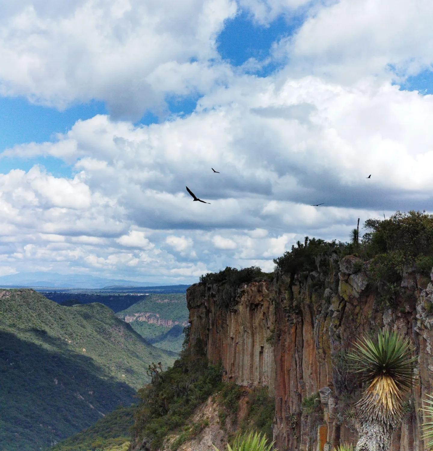 Hotel El Gato Glamping Con Vista A Prismas Basalticos à Huasca de Ocampo Extérieur photo